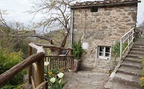 Il Rosmarino